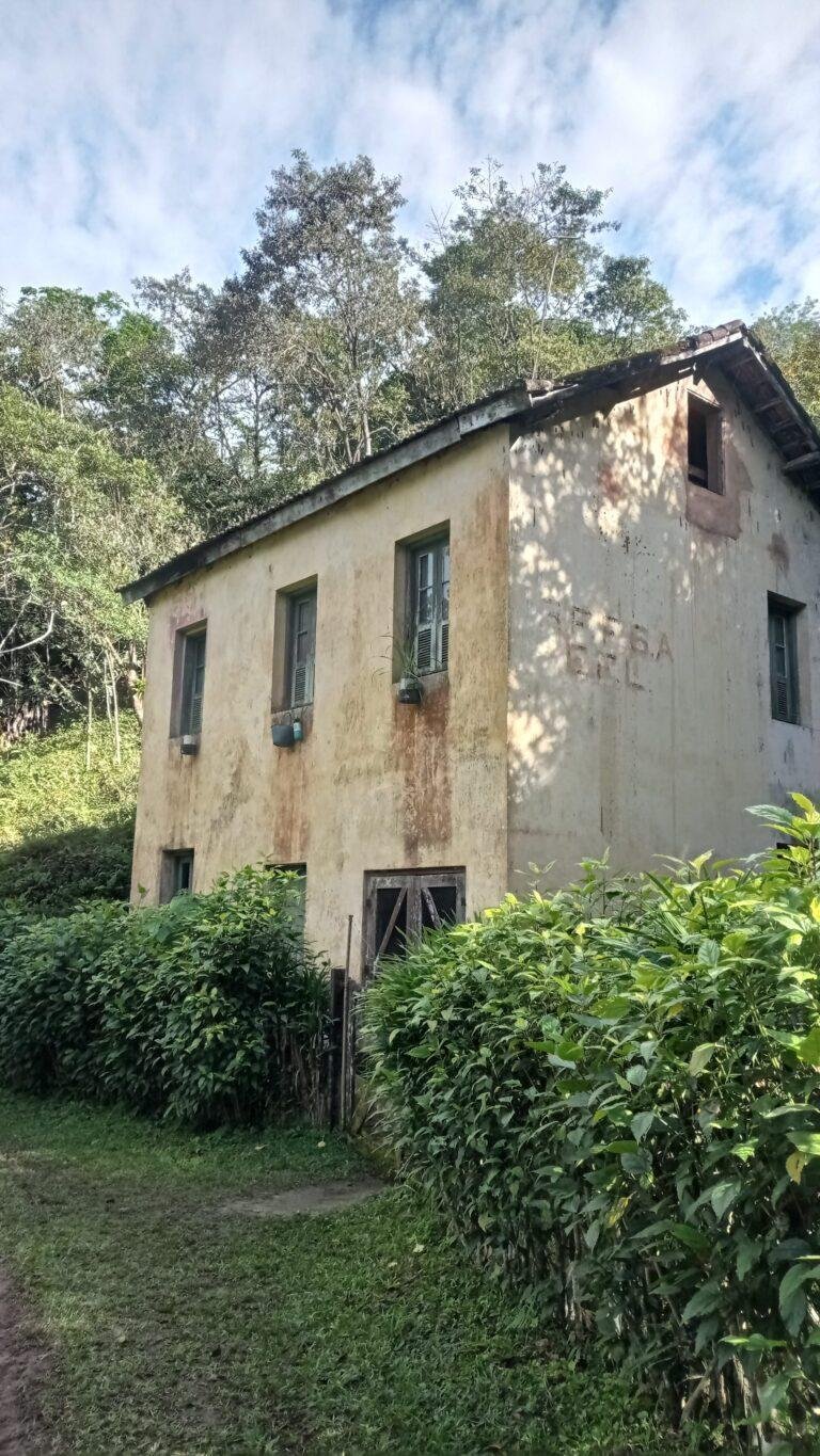 Trilha do Trem na serra entre Cachoeiras de Macacu e Friburgo - Ruínas (4)