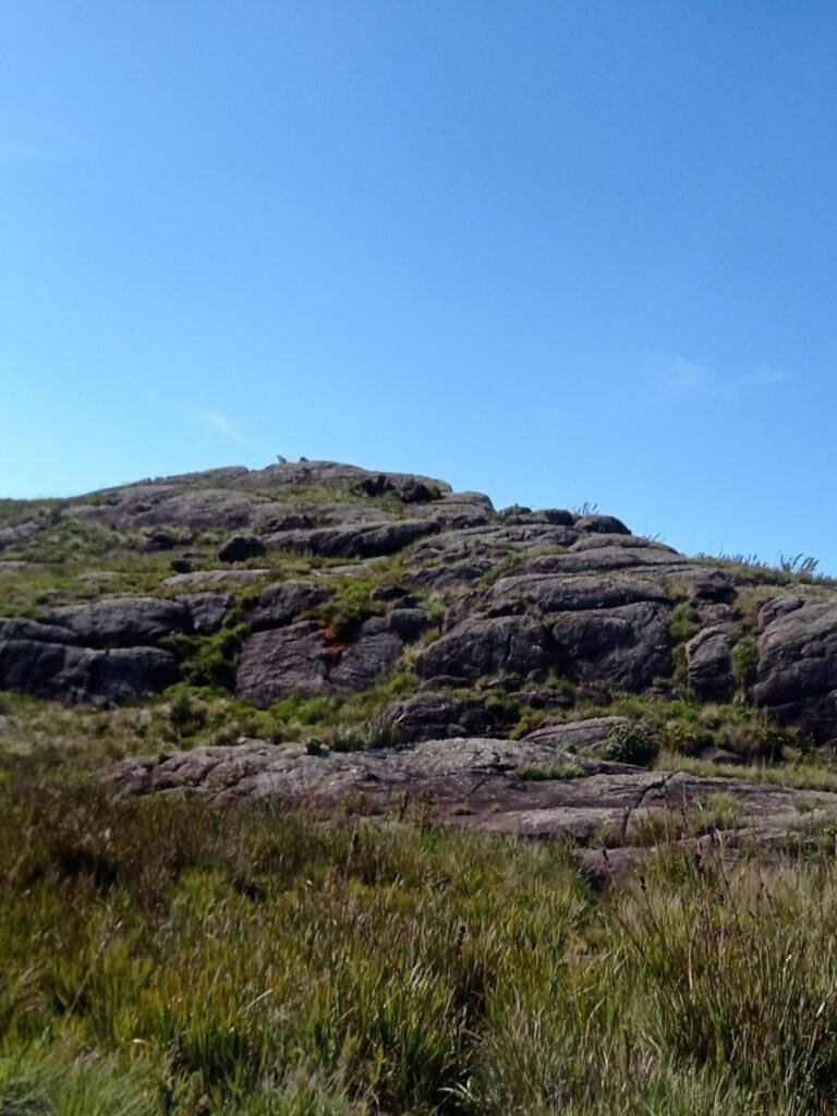 Pico dos Três Municípios - Roteiros e Trilhas RJ (24)