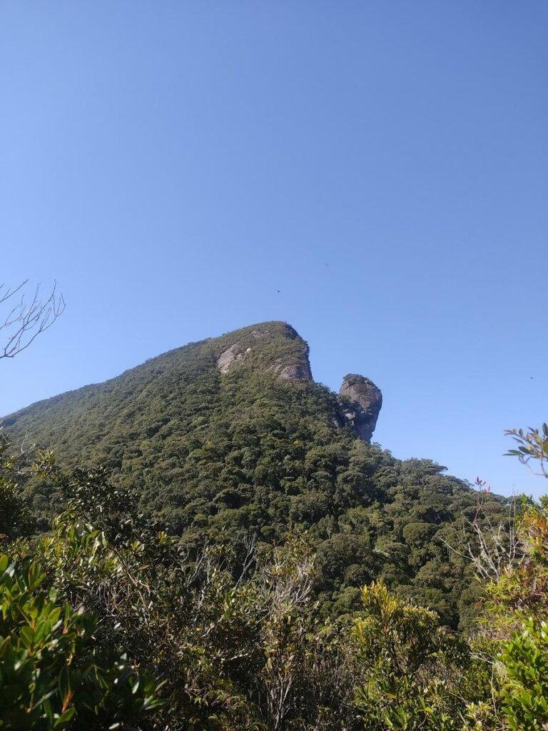 Cachoeiras de Macacu